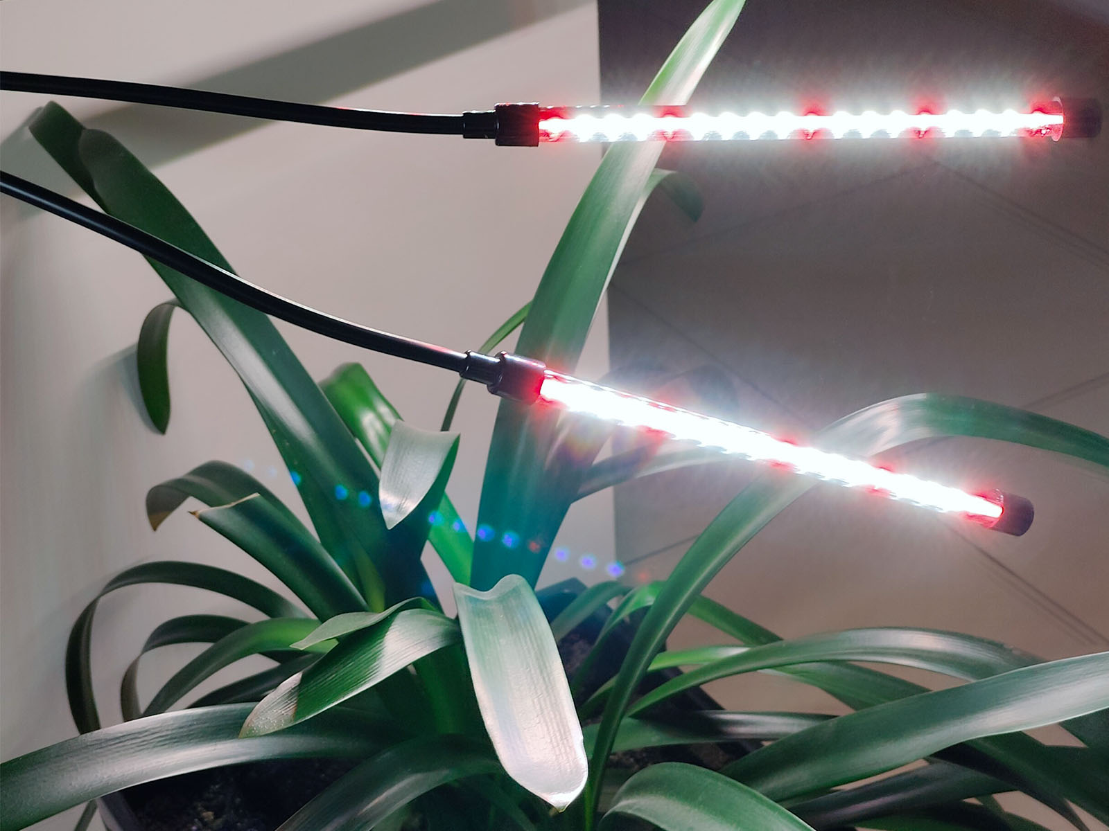 Wizualizacja Lampa do roślin LED VITARO 4 ST 30W